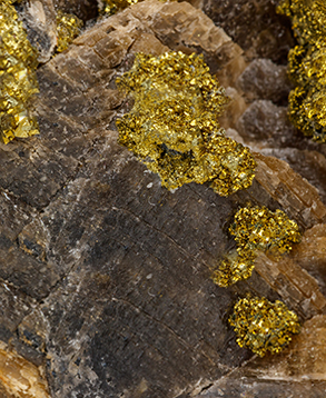 Generation-of1.jpg (1)